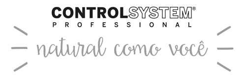 CONTROL SYSTEM